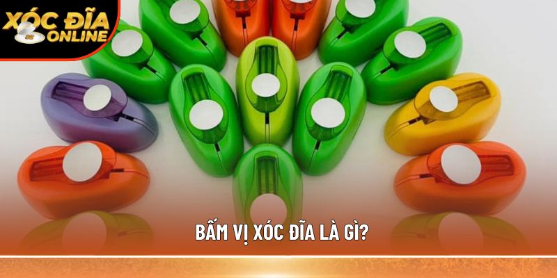 Bấm vị xóc đĩa là gì? Hướng dẫn newbie chi tiết cách sử dụng