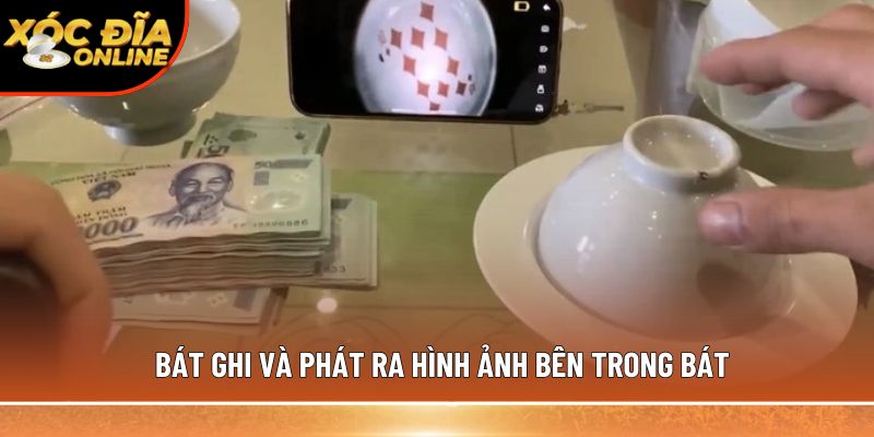 Bát hình xóc đĩa – Cơ chế hoạt động và cách nhận biết