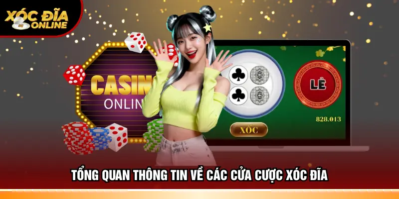 Các Cửa Cược Xóc Đĩa Chi Tiết & Tỷ Lệ Trả Thưởng Mới Nhất