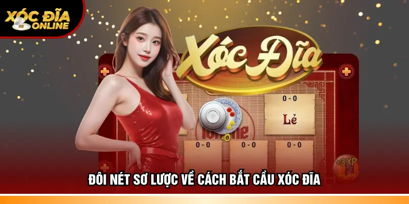 Cách Bắt Cầu Xóc Đĩa – Cẩm Nang Thực Hành Từ A Đến Z 2026