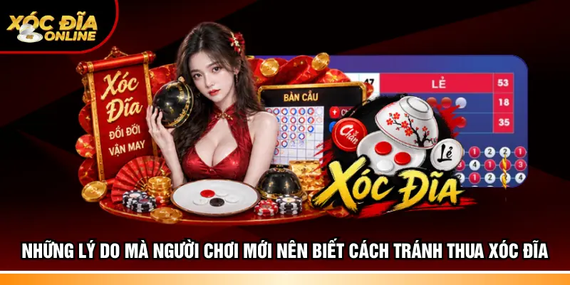Cách Tránh Thua Xóc Đĩa – Bài Học Đắt Giá Cho Tân Thủ