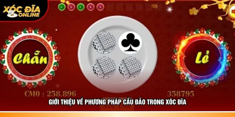 Cầu Đảo Xóc Đĩa – Phân Tích Kết Quả Khi Tham Gia Cược