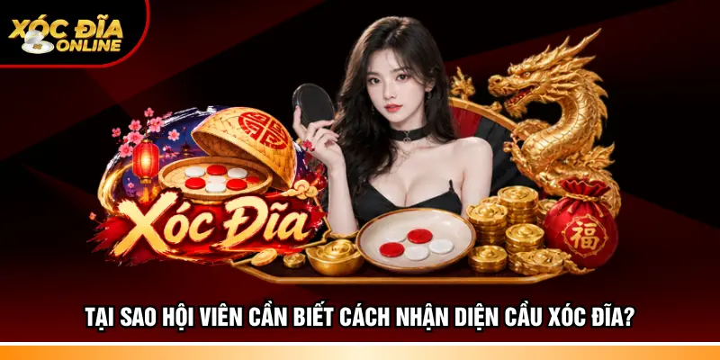 Nhận Diện Cầu Xóc Đĩa – Học Cách Đọc Bảng Lịch Sử Kết Quả