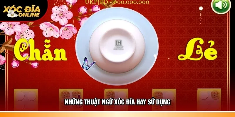 Thuật Ngữ Xóc Đĩa – Danh Sách Từ Ngữ Quan Trọng Cần Biết