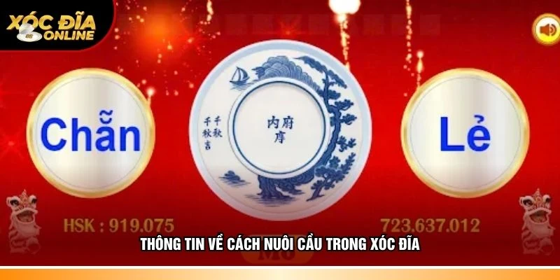 Nuôi Cầu Xóc Đĩa – Phương Pháp Tối Ưu Chiến Thắng Khi Cược