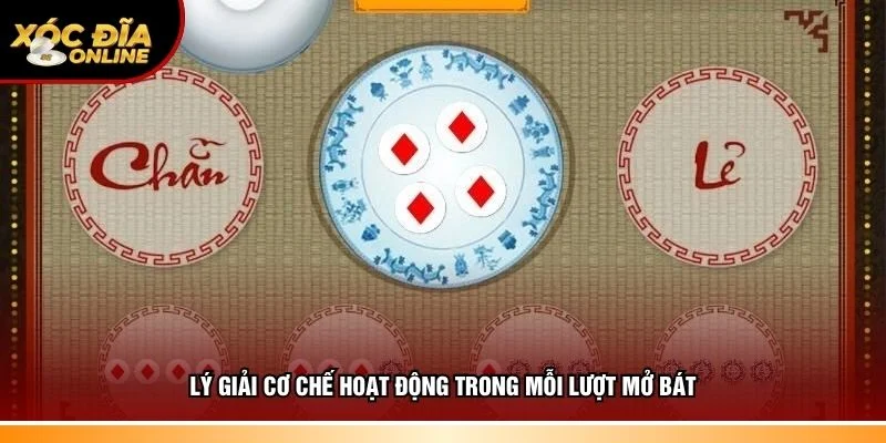 Xác Suất Xóc Đĩa – Giải Mã Tỷ Lệ Xuất Hiện Của Từng Kết Quả