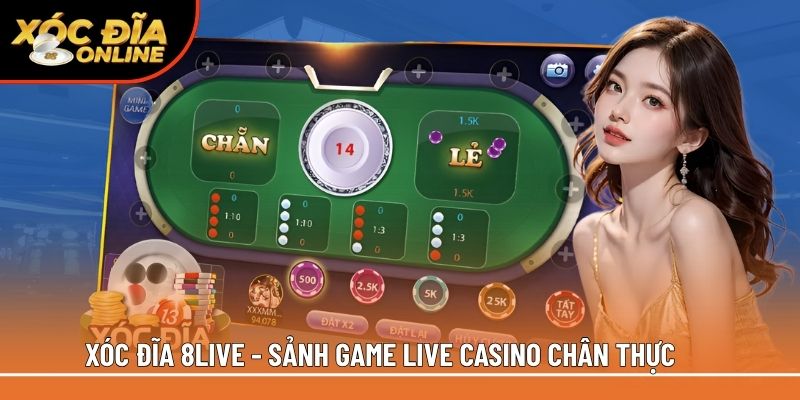 Xóc Đĩa 8Live – Livestream Chân Thực, Cược Nhỏ Trúng Lớn