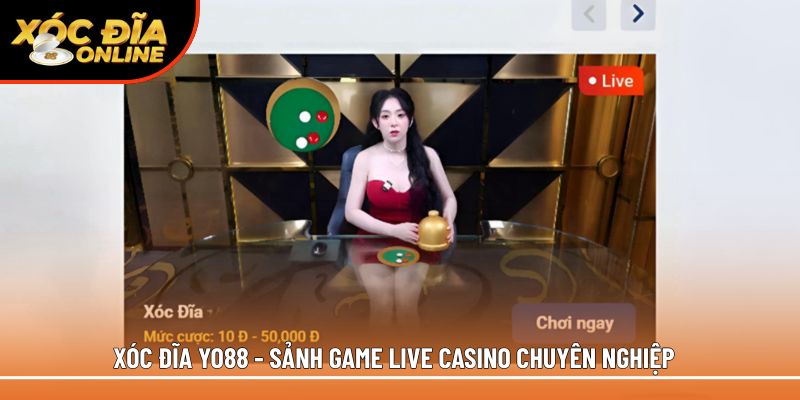 Xóc Đĩa Yo88 – Sảnh Live Dealer 24/7, Nổ Hũ Jackpot